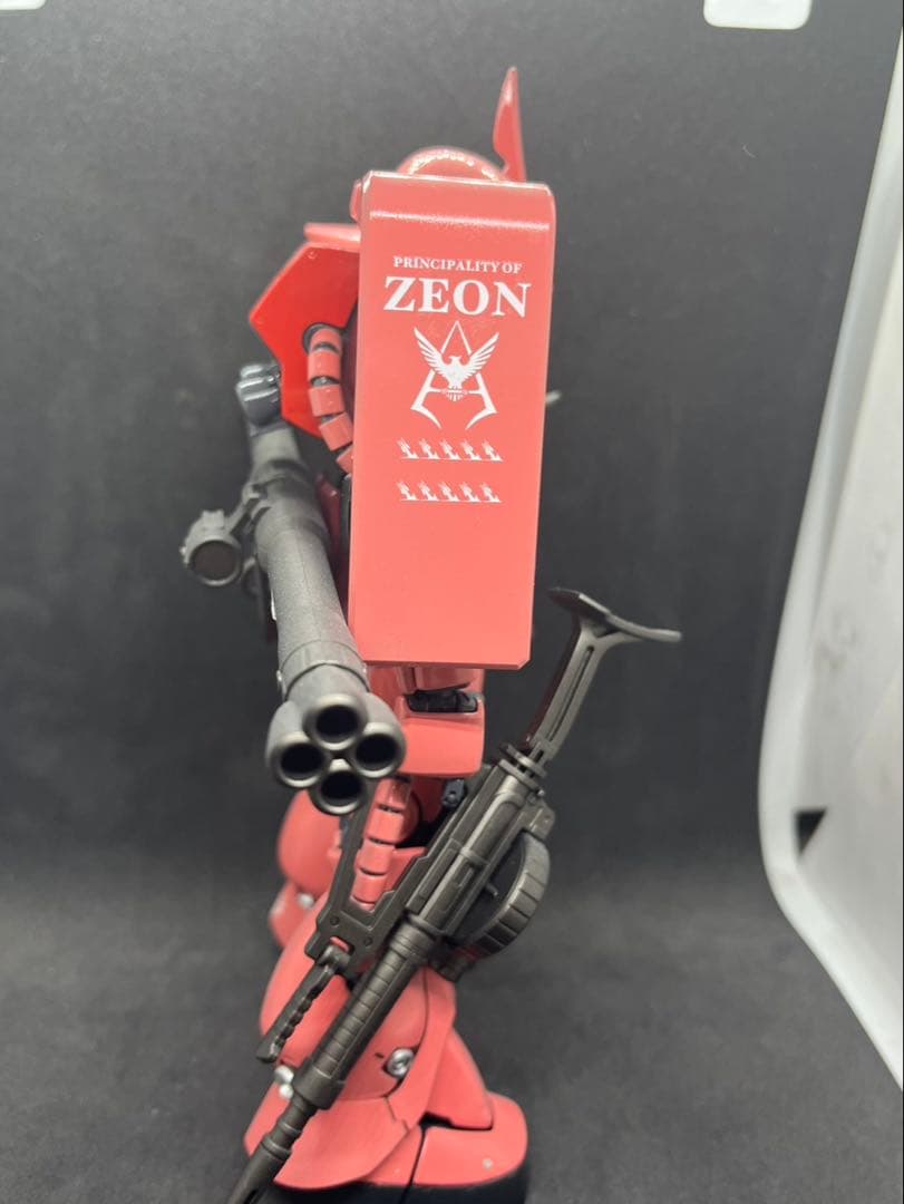 バンダイMG 1/100 MS-06S