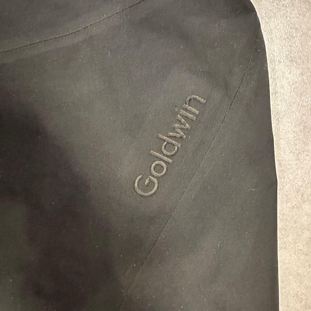 ゴールドウィン　スキーウェア　ビブパンツ Mサイズ