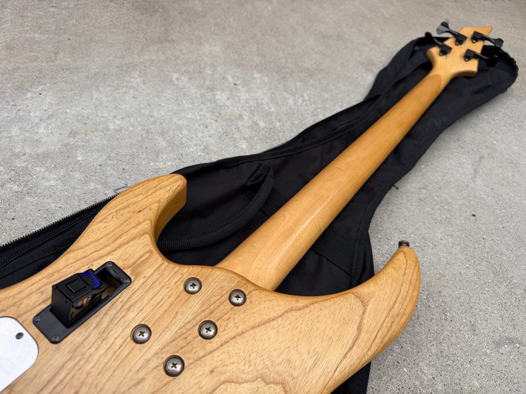 SELVA Ignite Bass ／ セルバ・イグナイト・ベース