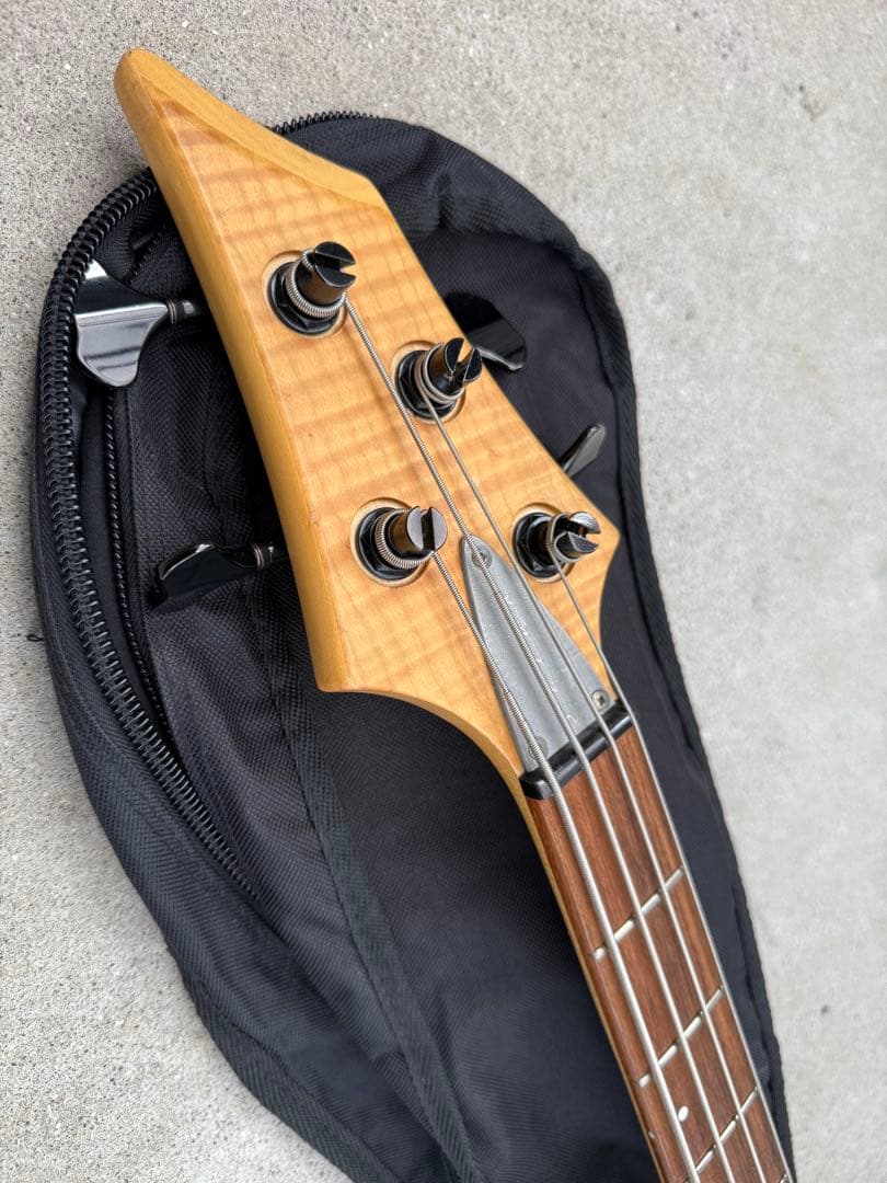 SELVA Ignite Bass ／ セルバ・イグナイト・ベース