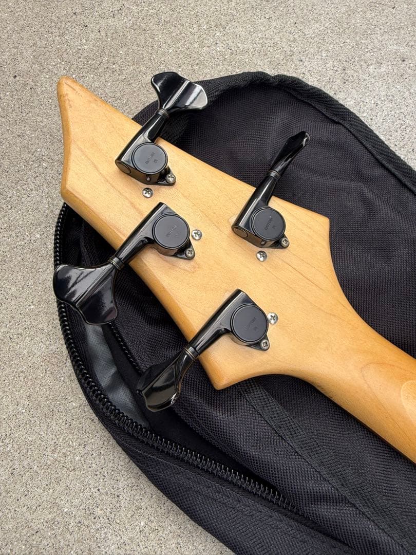 SELVA Ignite Bass ／ セルバ・イグナイト・ベース