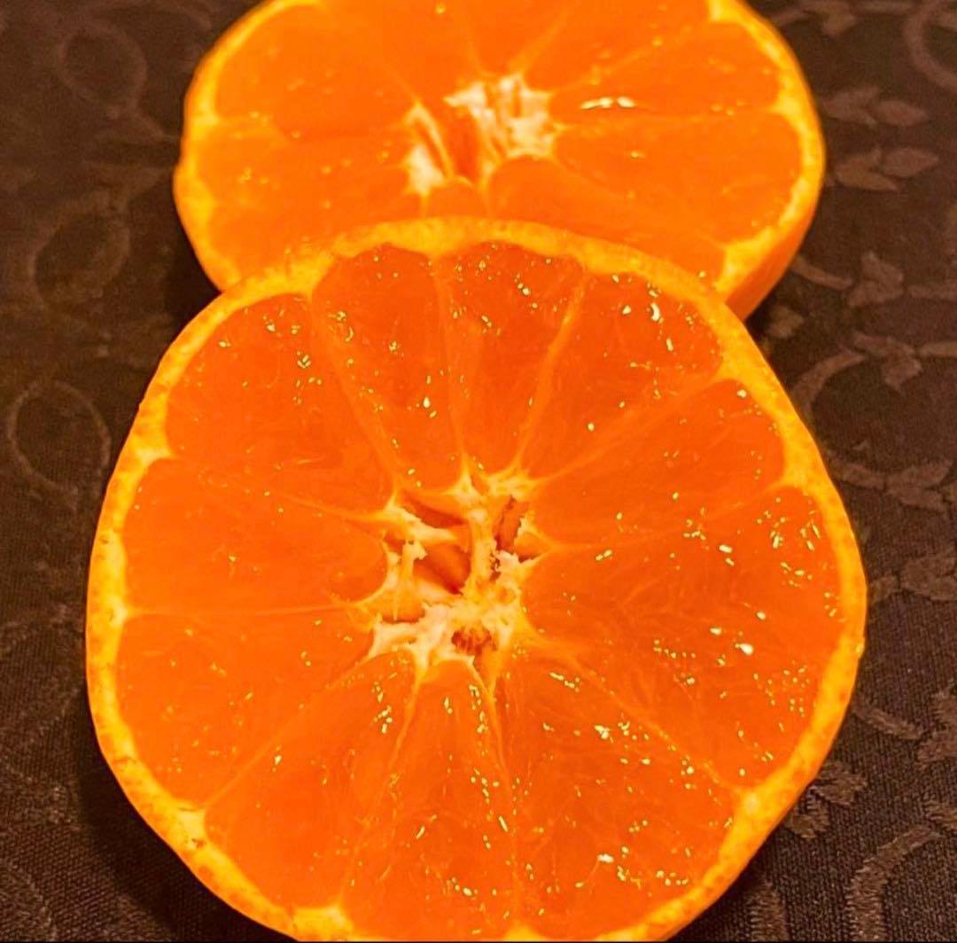 23)数量限定　甘すぎる　有田みかん　果物 　みかん　小玉　旬