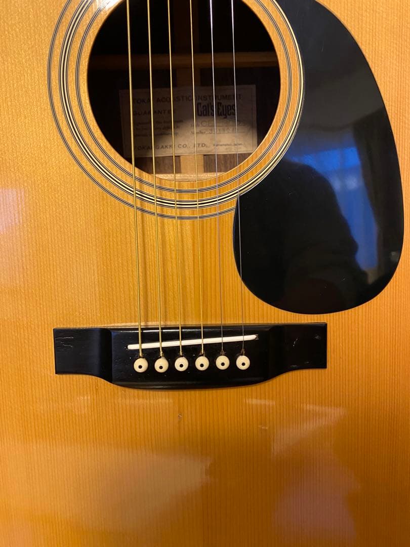 Cat's Eyes CE300アコースティックギター