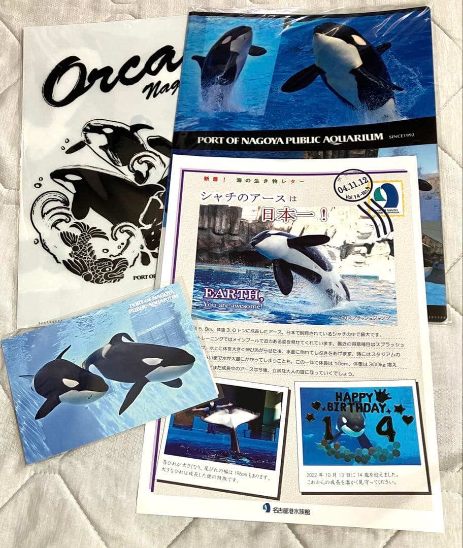 レア　名古屋港水族館限定　クリアファイル　ポストカード