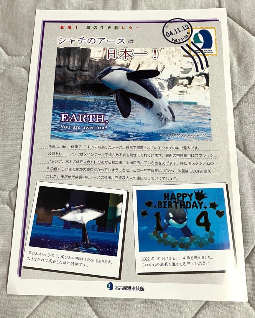 レア　名古屋港水族館限定　クリアファイル　ポストカード