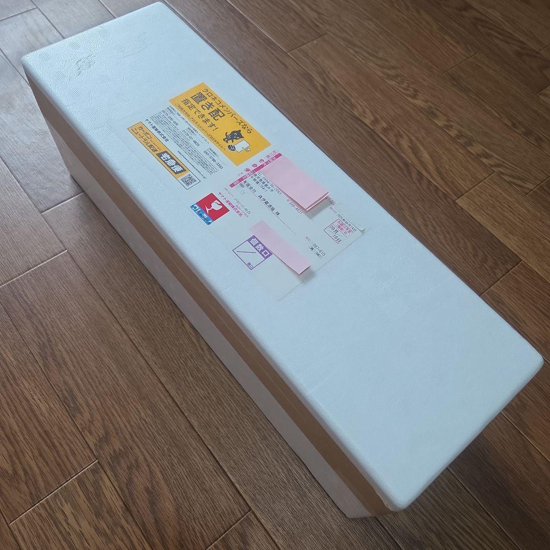 森伊蔵 1800ml 9月16日到着便