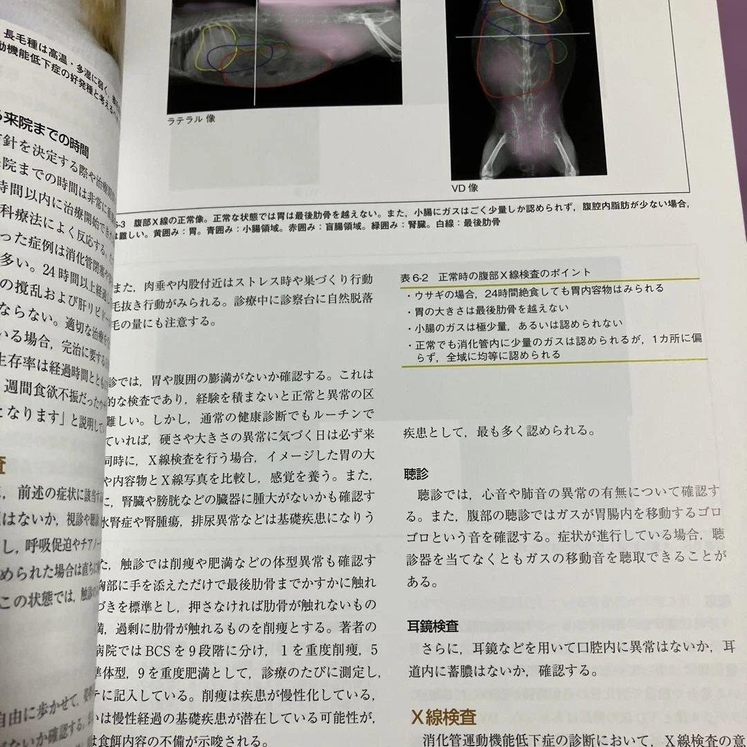 定価15400円　できる!!ウサギの診療　沖田将人　エデュワードプレス