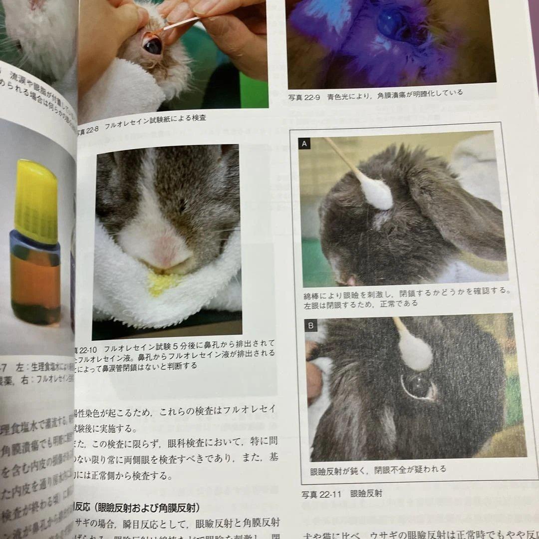 定価15400円　できる!!ウサギの診療　沖田将人　エデュワードプレス