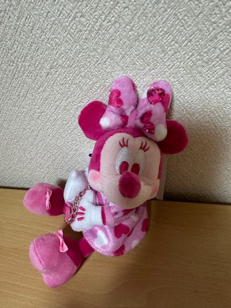 ミニー　パルパルーザ　ファンダーランド　今回限りの限定スペシャルセット