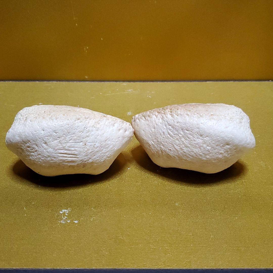 鯨耳　ミンククジラ　耳　一対