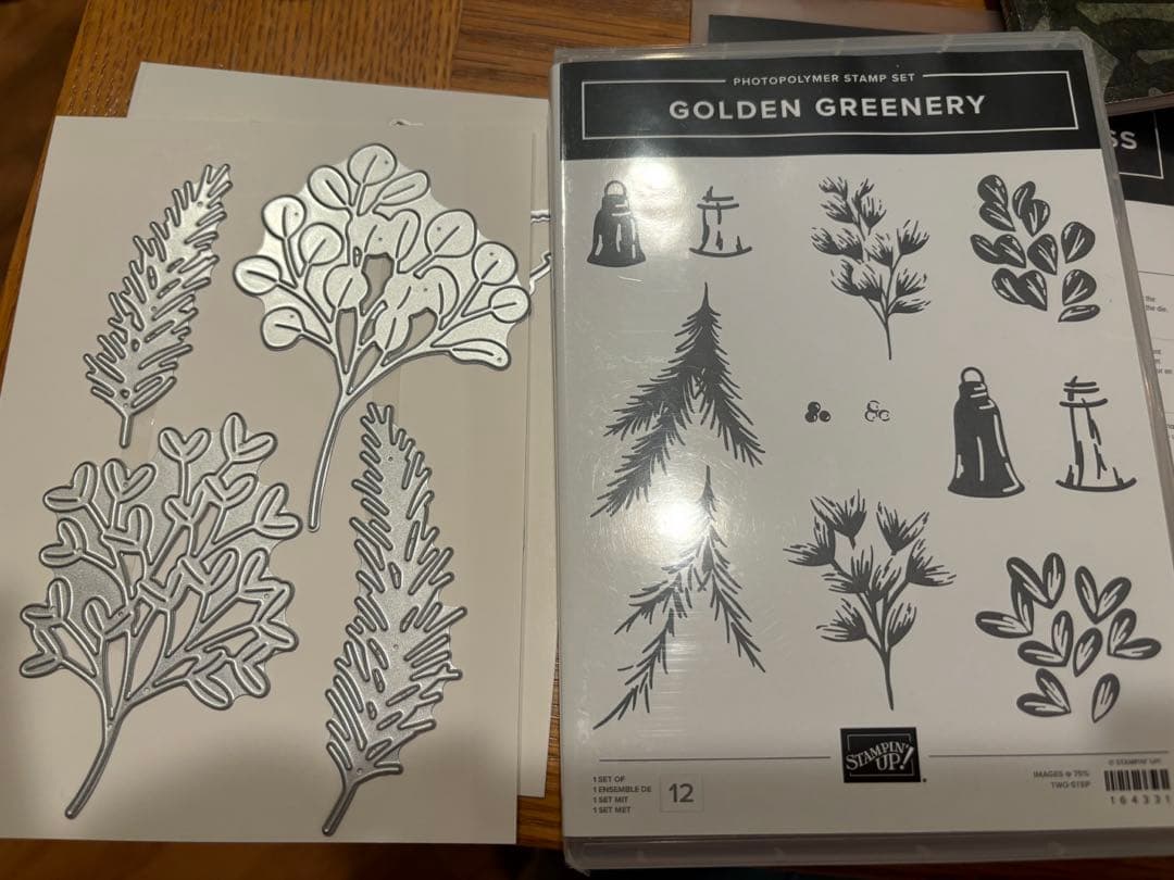 未使用　葉が素敵なスタンプ&ダイセット　スタンピンアップ