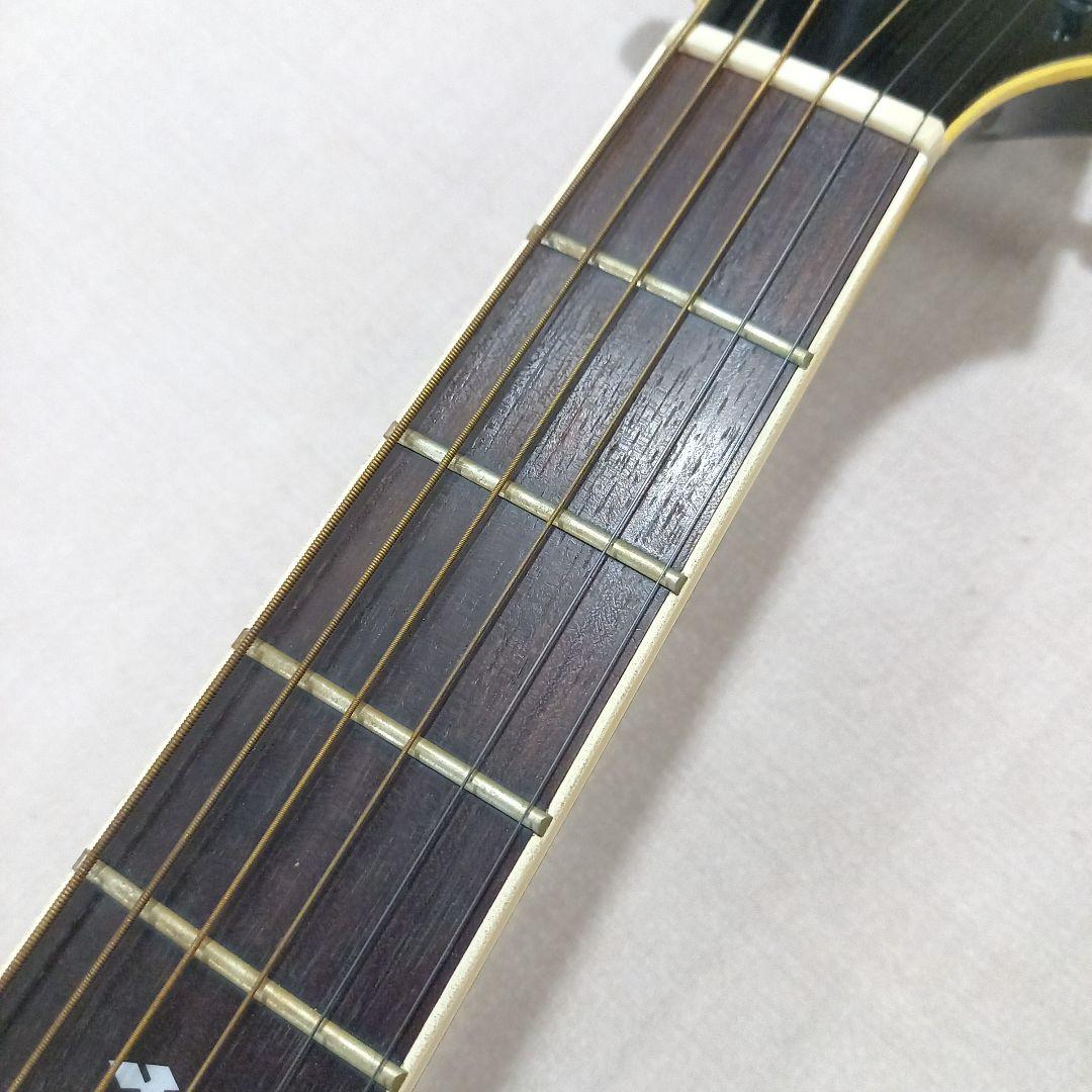 Takamine エレアコ EF-341 ブラック タカミネ