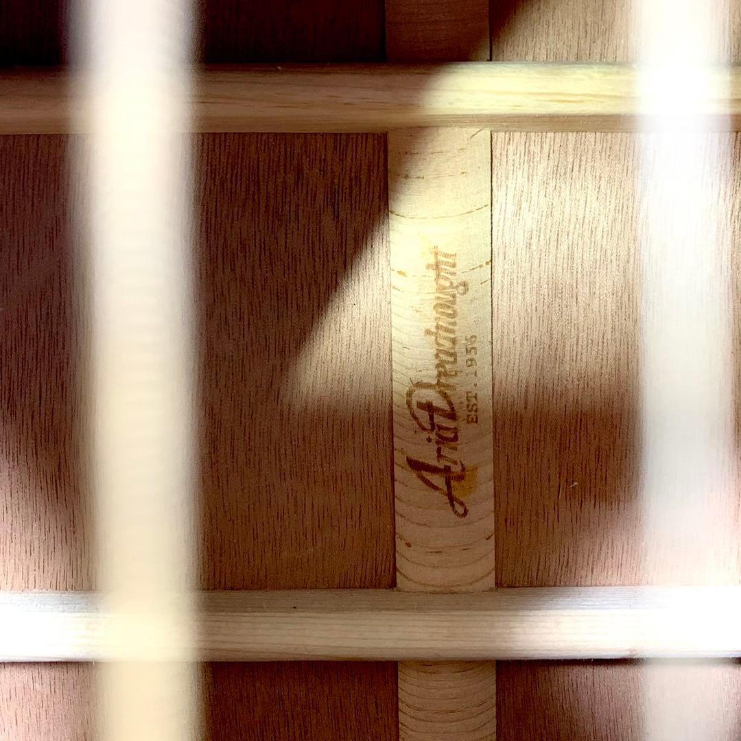 ARIA アコースティックギター AD-211 ケース付