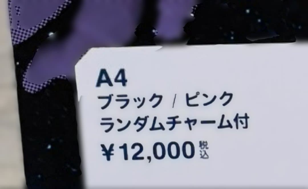 tuki.『NIPPON BUDOKAN ～承認欲求爆発～』限定バッグ非売品付き