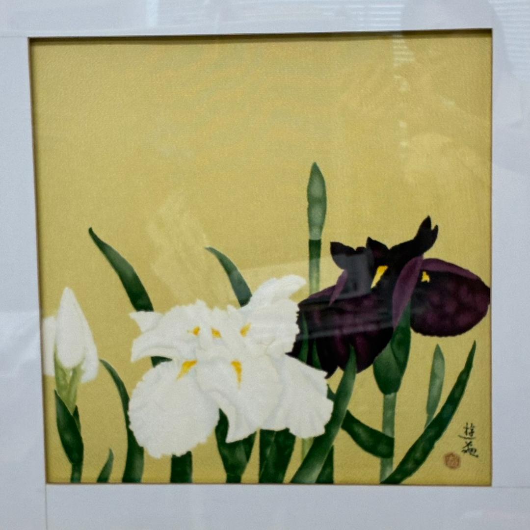 絹ちりめん　染色　額絵　あやめ　菖蒲 　57×57㎝