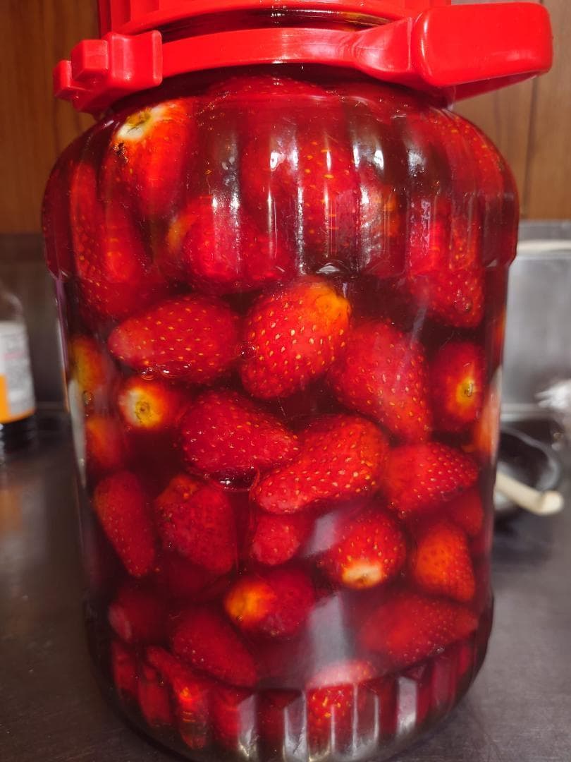 リピーター多数　国産百花蜜 梅酒瓶入　おまけ付　生産者価格で大放出