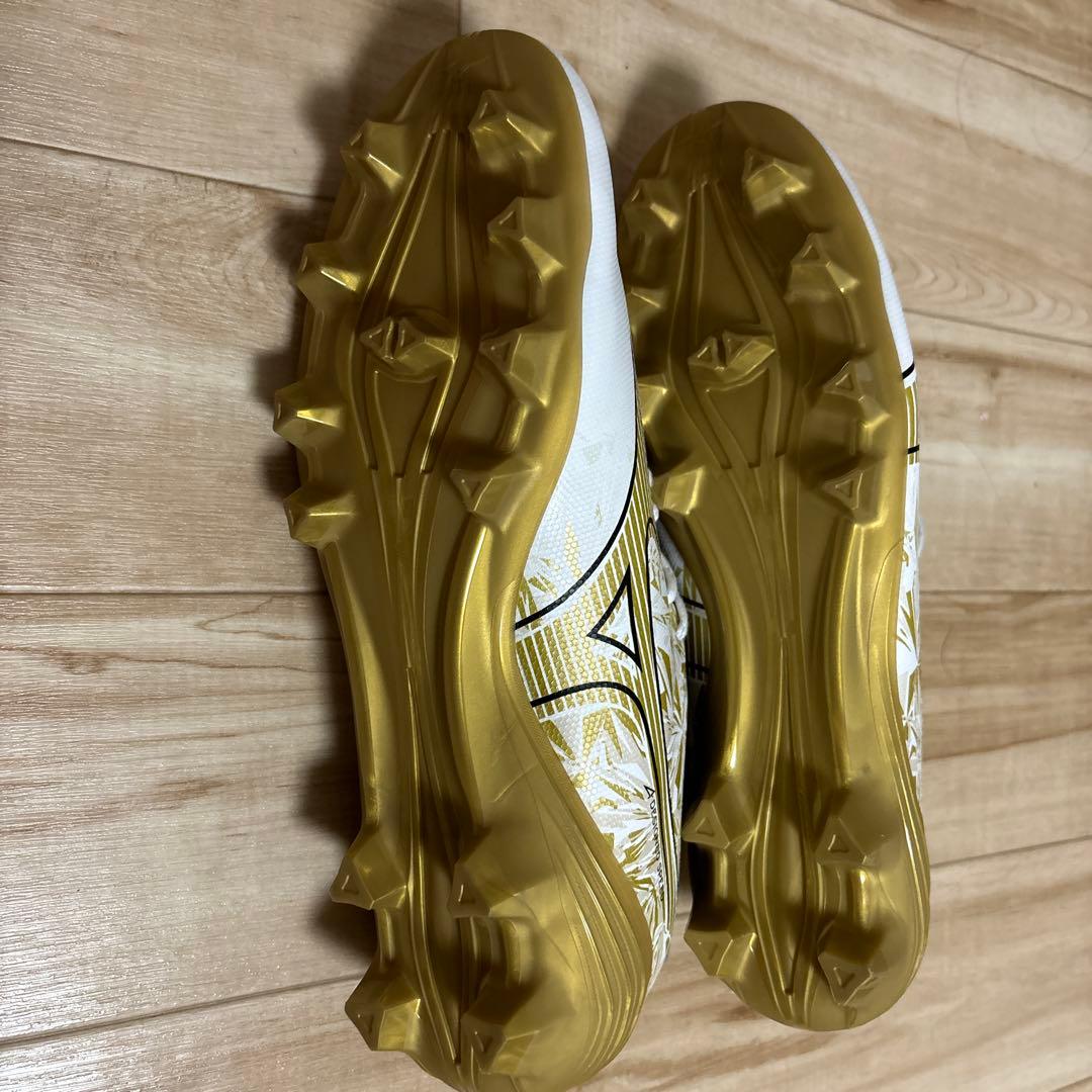 フットサルシューズ
人工芝対応用です。