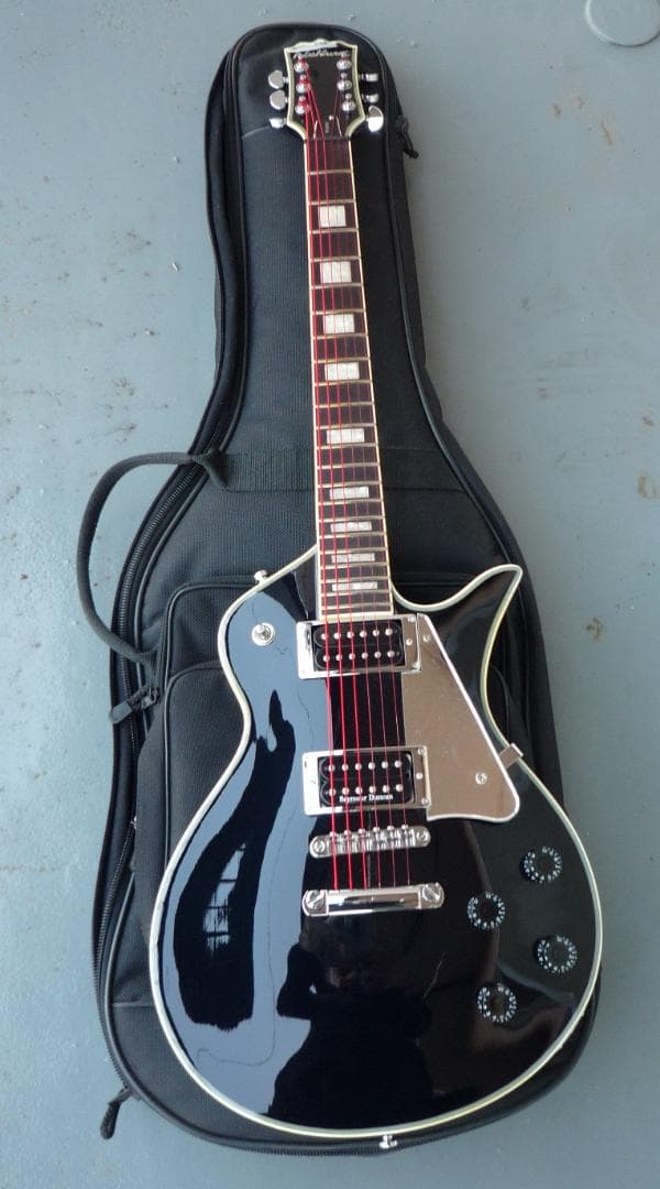 Washburn PS7200 Black Custom【No.1】