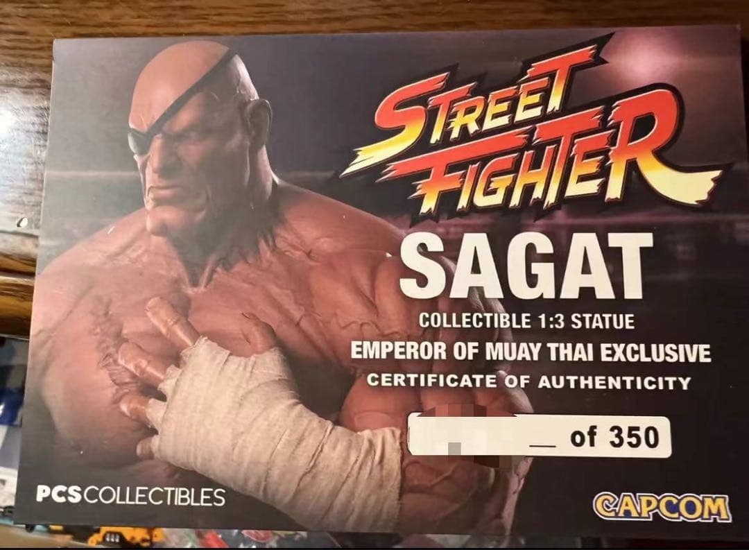 ストリートファイター PCS サガット 1/3 B スタチュー フィギュア