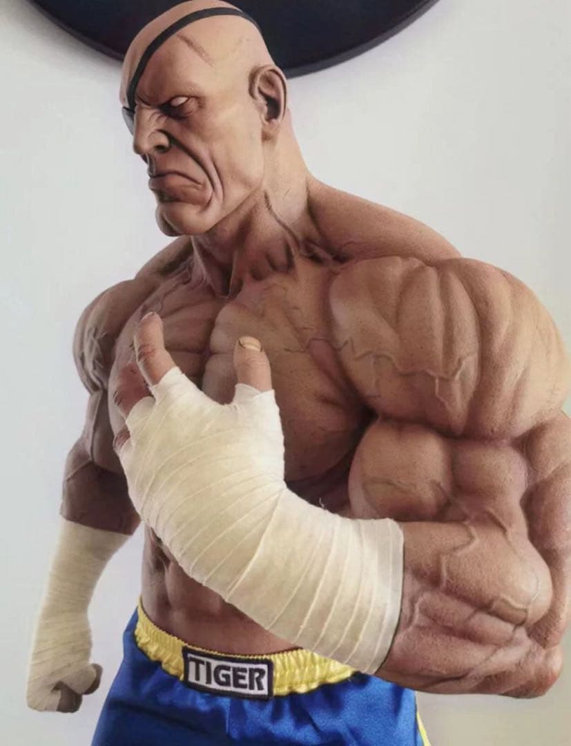 ストリートファイター PCS サガット 1/3 B スタチュー フィギュア