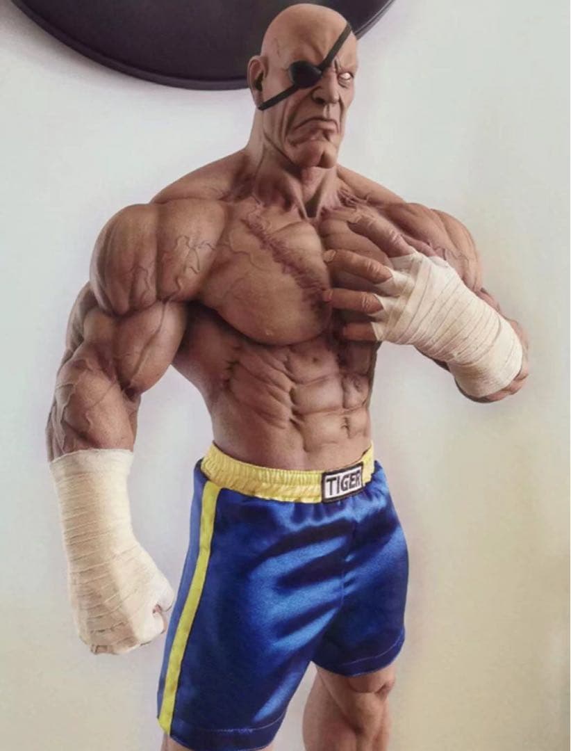 ストリートファイター PCS サガット 1/3 B スタチュー フィギュア