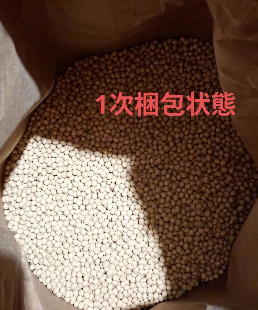 大豆 長野県産大豆　薬品磨き不使用　中粒加工用　少し訳あり10kg品質検査合格