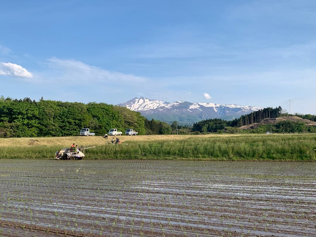 ★令和7年 ‪新米 ひとめぼれ 20kg 秋田県産 産地直送★