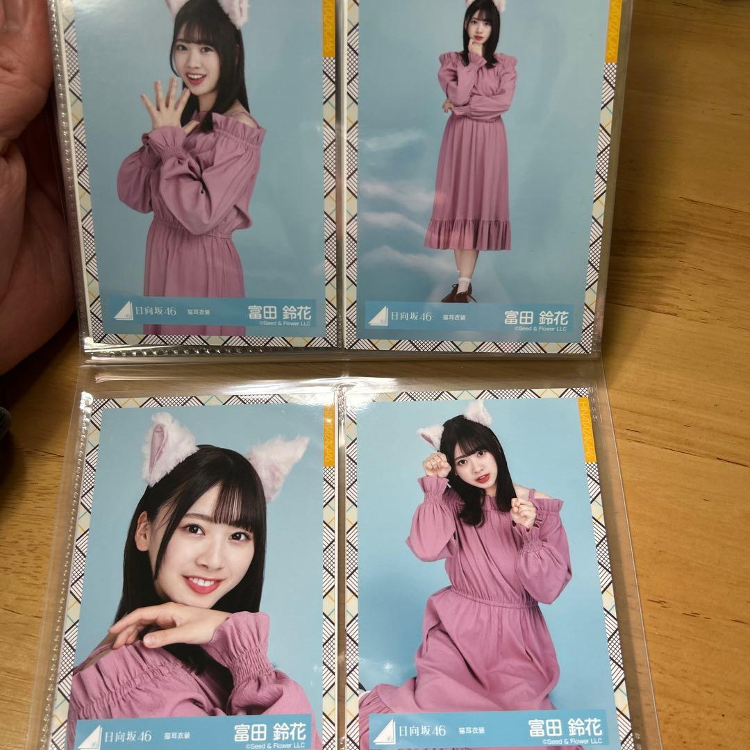 【引退品】日向坂46 富田鈴花 コンプ多数専用アルバム＋金村・藤嶌ヨリ