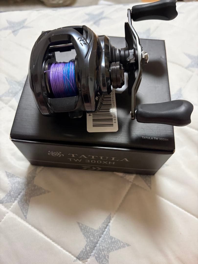 ダイワ TATULA TW 300XH ベイトリール