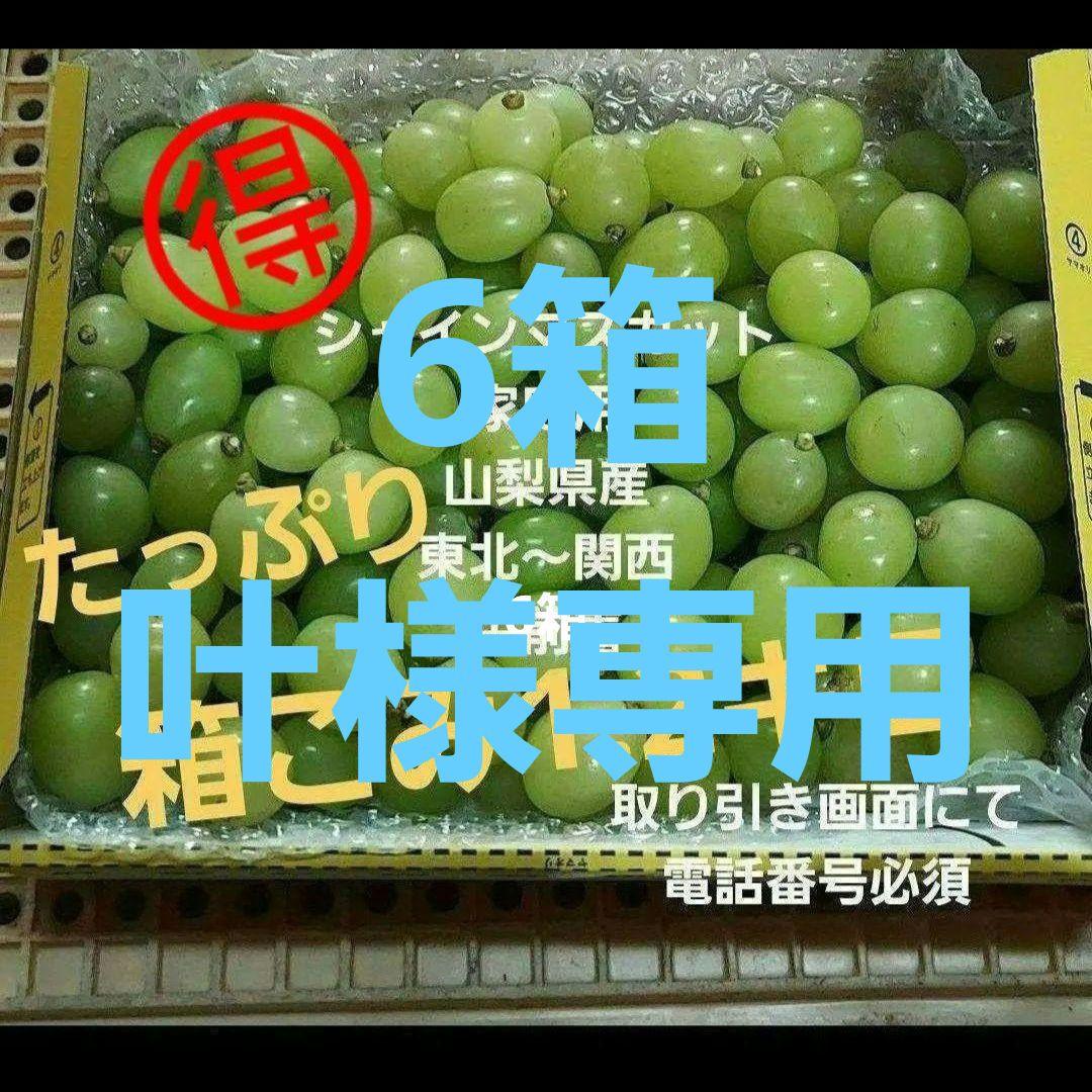 6箱　シャインマスカット　粒　コンパクト　家庭用　山梨県産