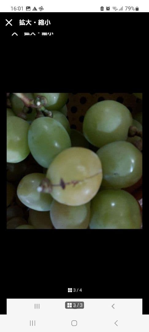 6箱　シャインマスカット　粒　コンパクト　家庭用　山梨県産