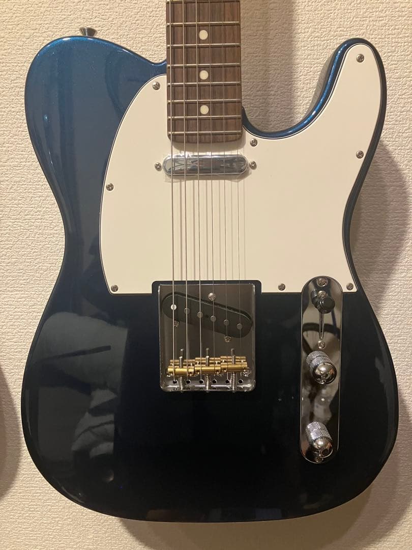 ギター FGN FUJIGEN NTL10RAL OLP
