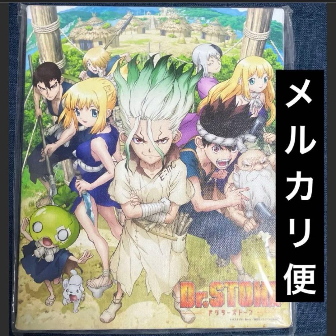 レア　Dr.stone プリンセスカフェ　くじ 店舗限定　キャンバスボード　千空