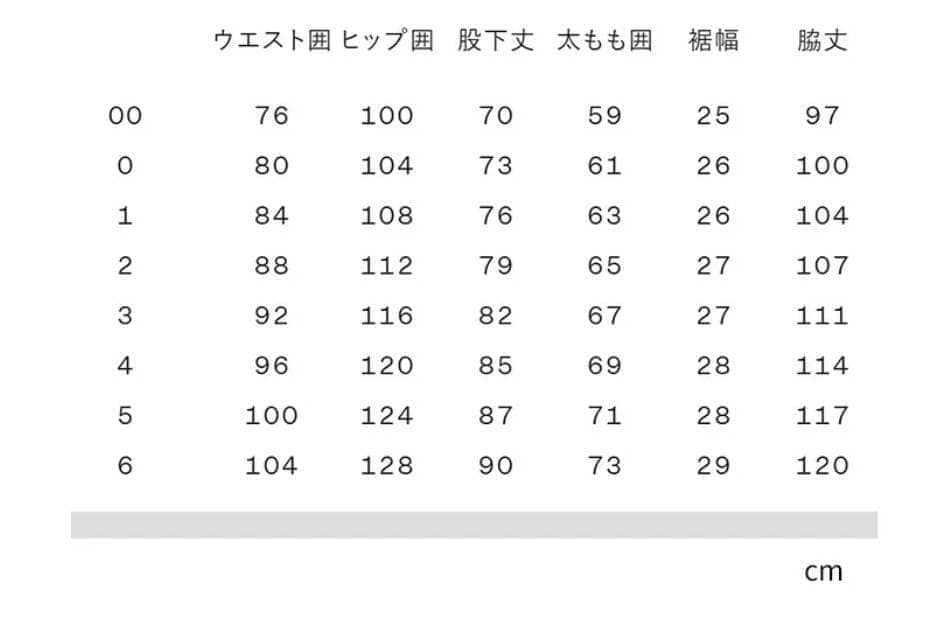 【定価4.4万】ゴールドウィン スキーウェア パンツ XL MM