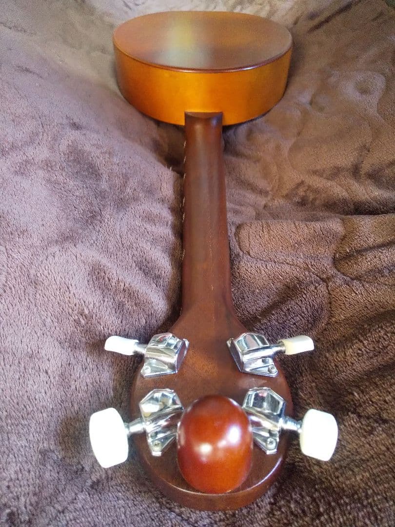 楽器　一五一会　奏生　DVD付き