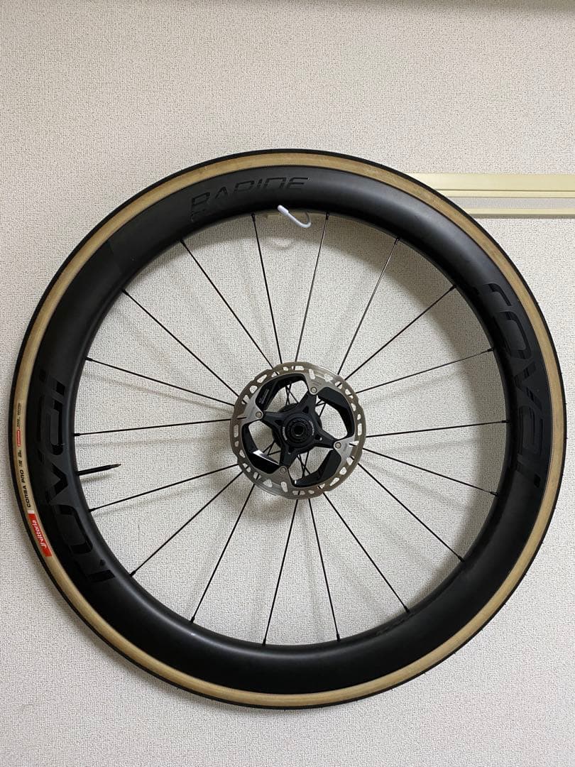 Maria　Roval Rapide CLXⅡ