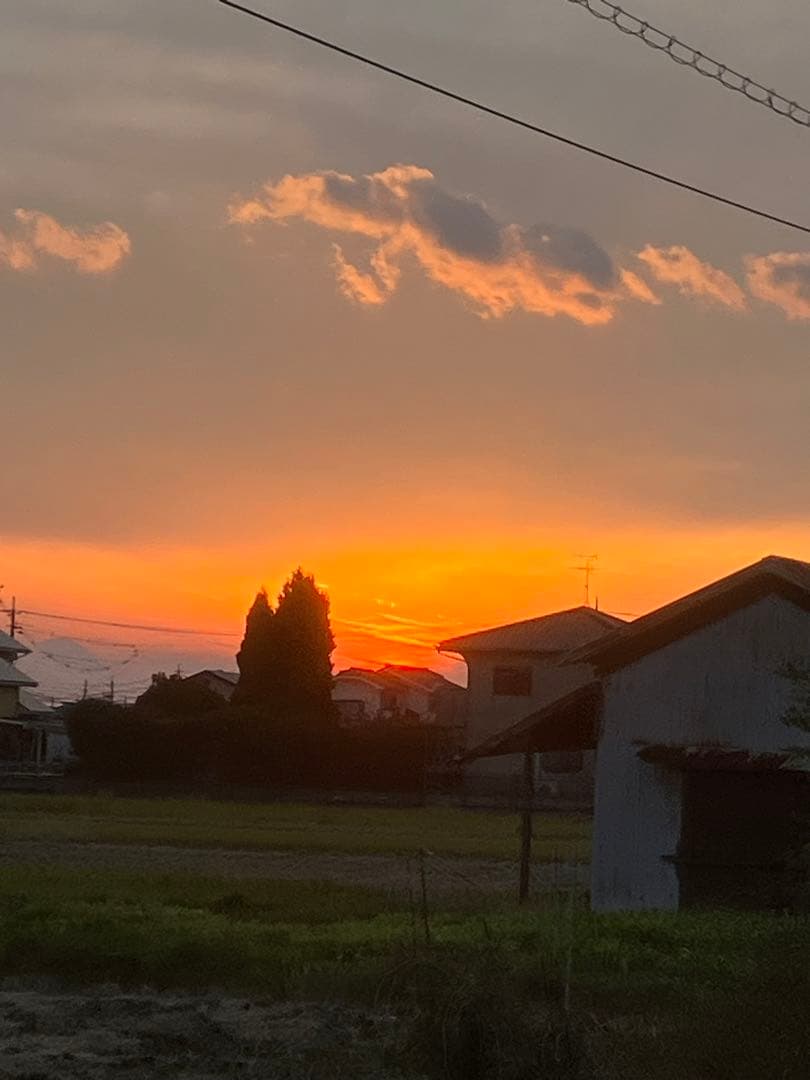 Chiicoさん専用です　令和5年度　20キロ自然栽培米　岡山倉敷