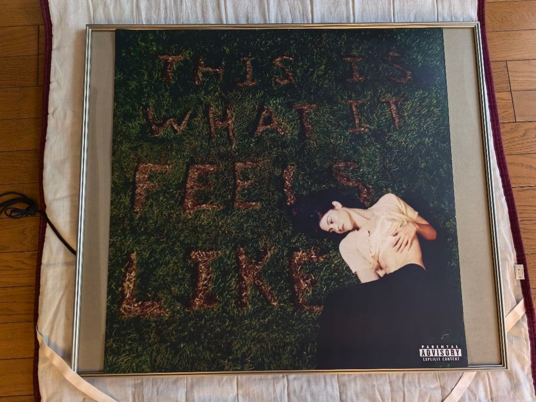 グレイシーエイブラムス-ThisIs WhatItFeelsLike特注ポスター