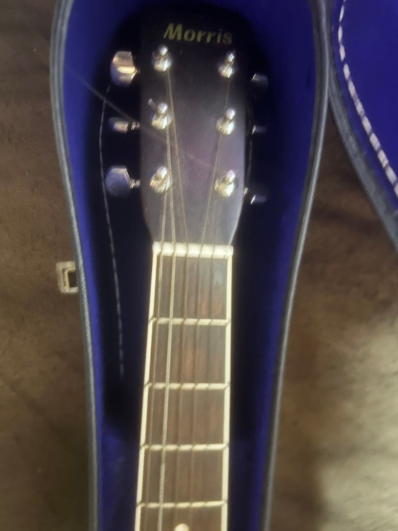 Morris w-25 アコースティックギター　ケース、ストラップ付き