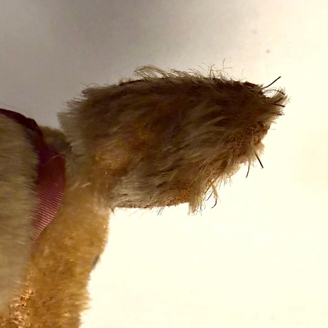 Steiffシュタイフ \"DOG\"（小）100年経ったアンティークのぬいぐるみ