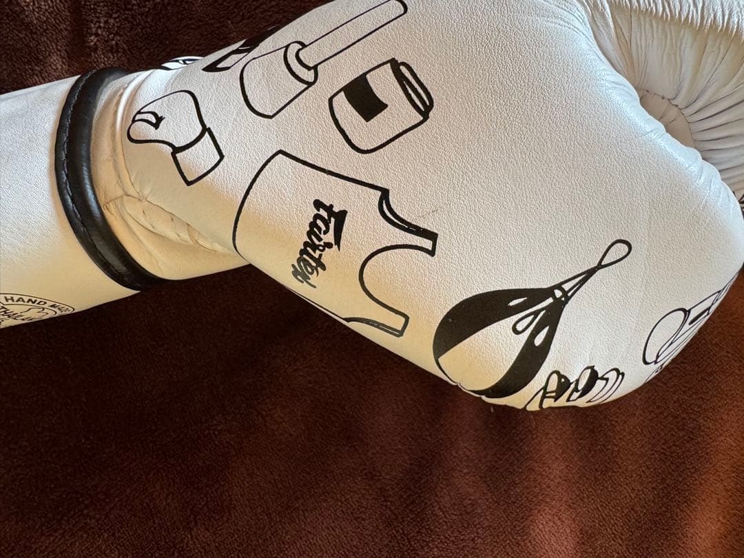 Fairtex グローブ 14oz