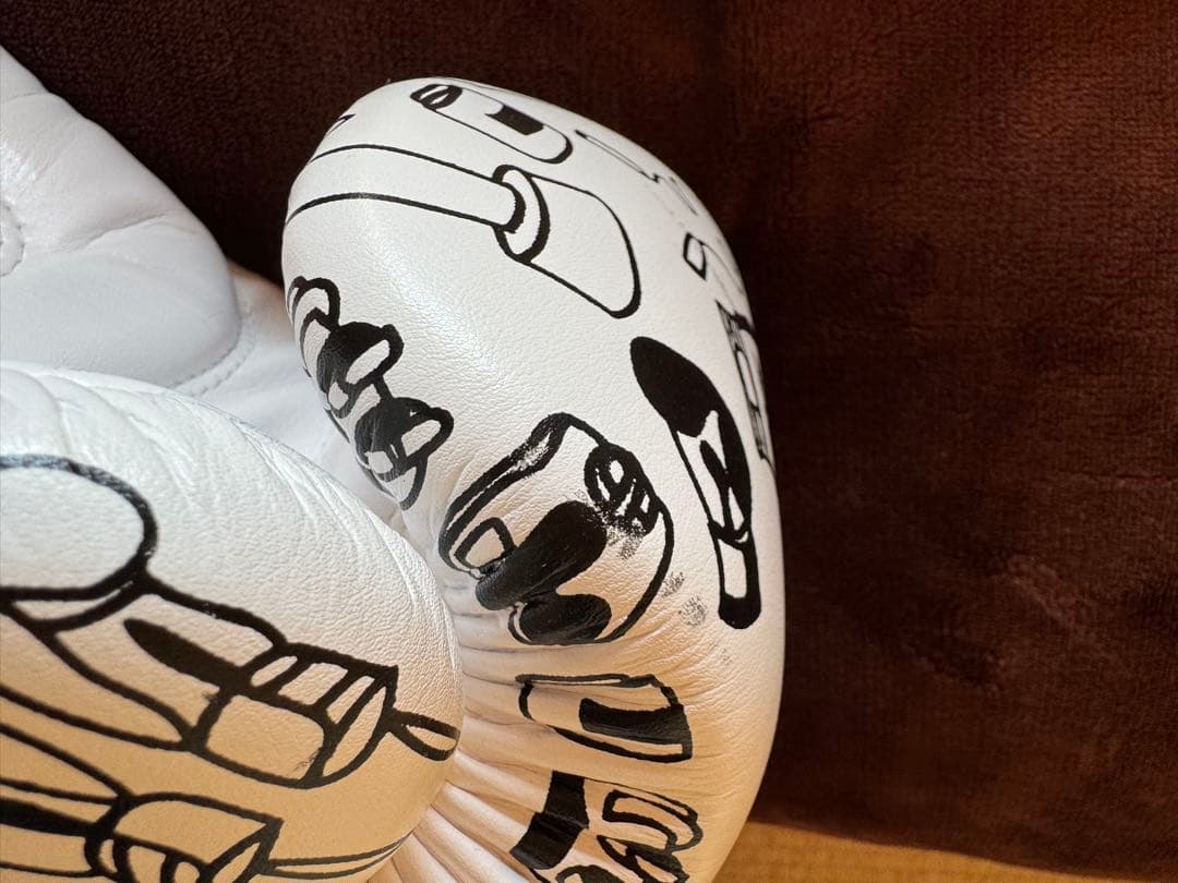 Fairtex グローブ 14oz