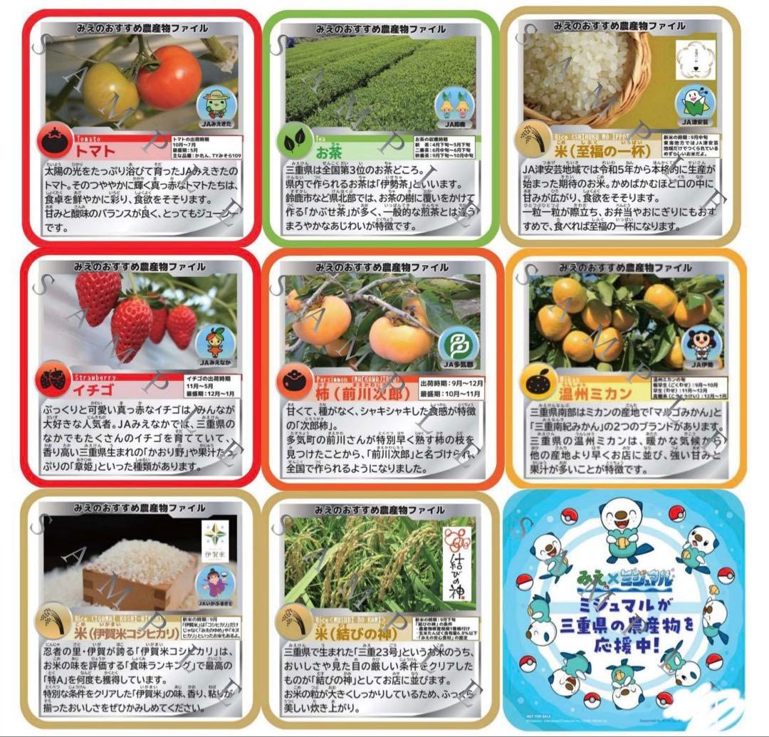 希少　ポケモン　三重県　ミジュマル　コラボ　コースター　カード　8枚セット