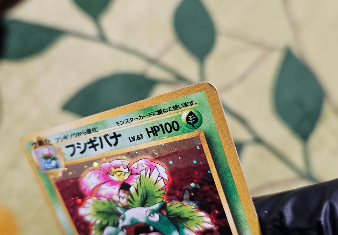 旧裏★フシギバナ ポケモンカードイントロパック キラ