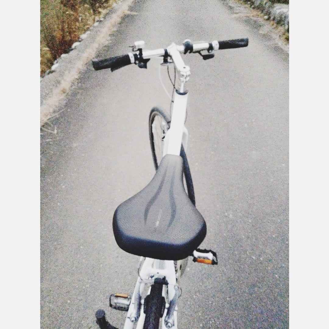 GIANT 　 ジャイアント 　ESCAPE 　クロスバイク 　エスケープ