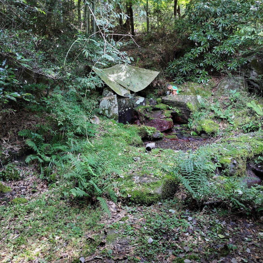 限定 標高600m一番湧水で育った農薬不使用 玄米2025年大分県産直送30kg