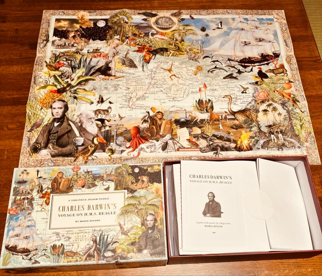 大英博物館　チャールズ・ダーウィン　ジグソーパズル　1000ピース