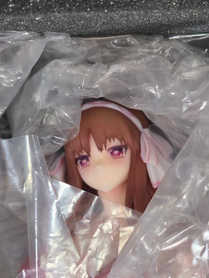 彼女(ヒロイン)は友達ですか？ 恋人ですか？ それともトメフレですか？ 雛守桜子