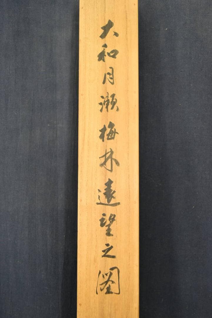 【真作】村瀬環山/大和月瀬梅林遠望之図/春景梅花図/掛軸/名家伝来/AA-652