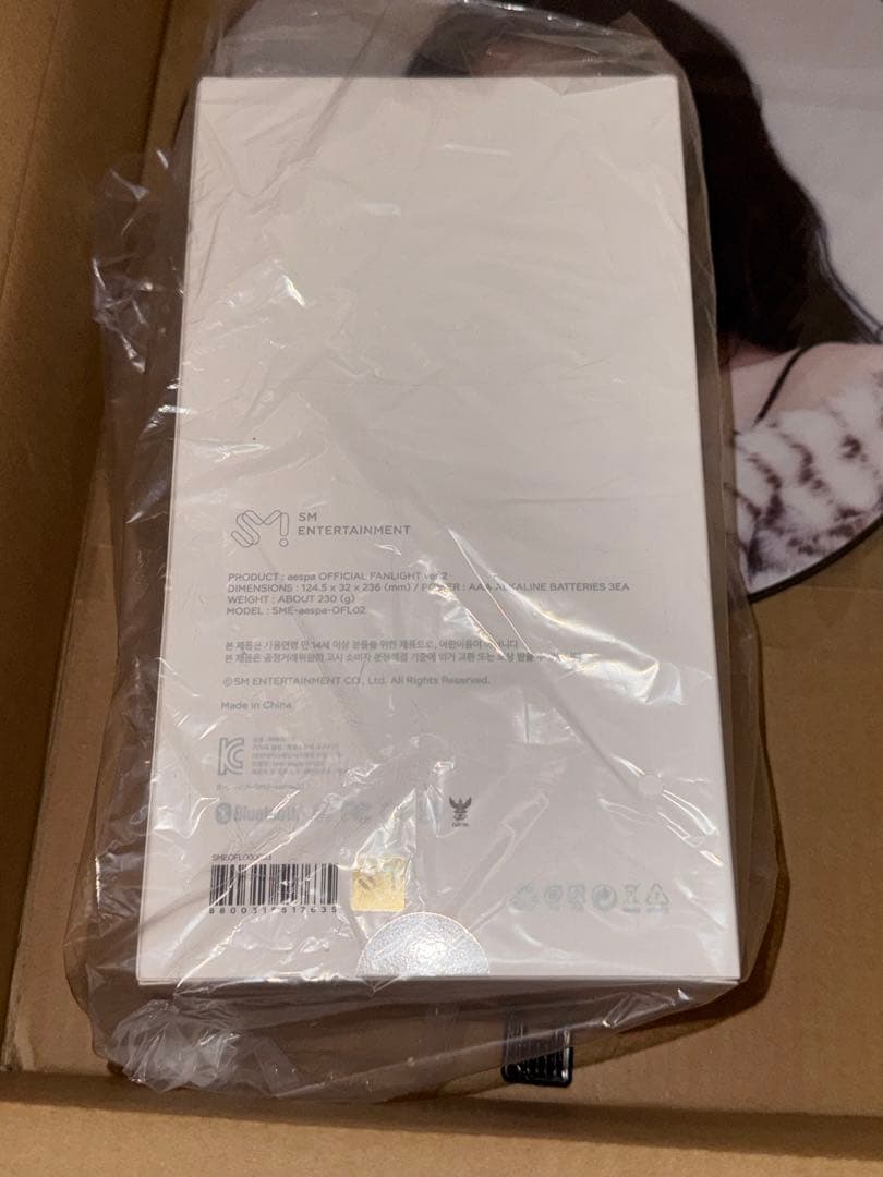 aespa ペンライト ver.2 うちわ カリナ